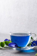 Butterfly pea blue pea tea on grey concrete background.