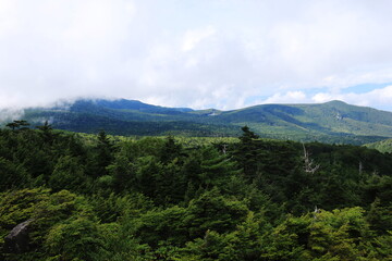 初秋の北八ヶ岳　高見石より遠く雨池を望む