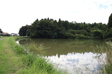 田舎の池