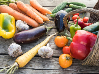 Freshly picked organic home-grown vegetables