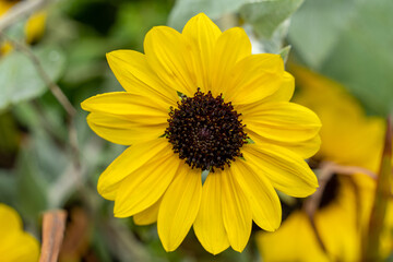 横浜田園地域の秋の風景