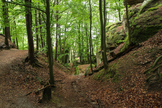 The picture from the natural area with rocks called "Drábské světničky" (Dráb´ s rooms) in Czech Republic. 
