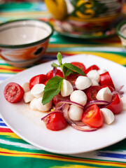  caprese salad with mazzarella tomatoes and herbs in oriental style on a table with a teapot and a cup for tea.