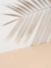 Fototapete Badezimmer Palm leaf shadow on white wall and cream pastel floor. Abstract background of shadows palm leaf for creative summer minimal mock-up. Neutral tropical palm mockup on light backdrop.Geometric background  © fascinadora