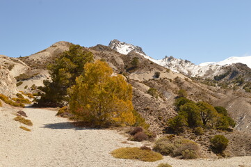 Hiking in the beautiful nature of the Sierra Nevada Mountain range in Spain