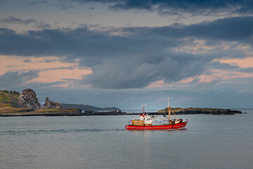 fishing boats in the harbor