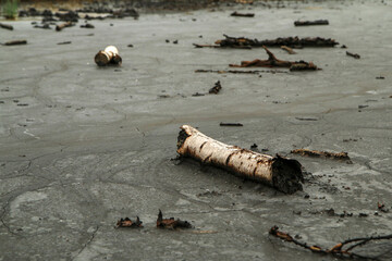 The picture from the national protected area in Czech Republic called SOOS. The former peat mining...