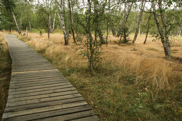 The picture from the national protected area in Czech Republic called SOOS. The former peat mining area.  