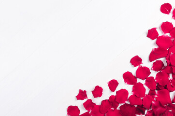 Rose petals on white wooden background
