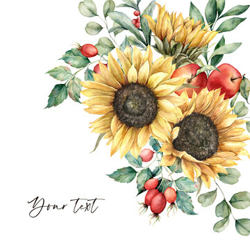 Watercolor autumn greeting card with sunflowers, leaves, apples and rose hips. Hand painted rustic composition isolated on white background. Floral illustration for design, print, fabric, background.