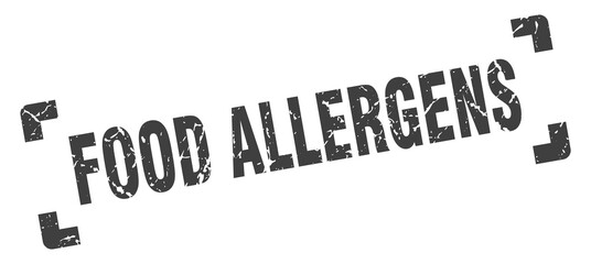 food allergens stamp. square grunge sign isolated on white background