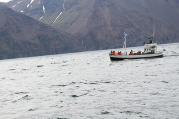 Whale watching ship in Husavik, on the north coast of Iceland