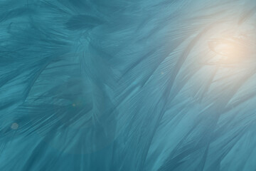 Obraz premium Beautiful dark green blue feather texture pattern background with flare light