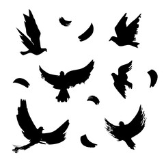 Set of birds silhouettes