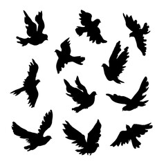 Set of birds silhouettes