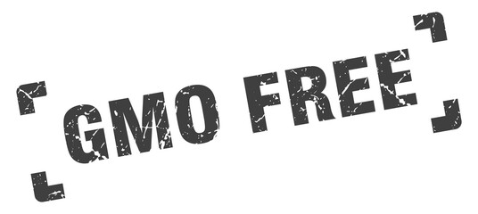 gmo free stamp. square grunge sign isolated on white background