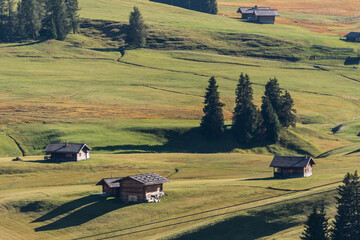View of the largest high-altitude alpine meadow in Alpe di Siusi or Seiser Alm, Val Gardena, Dolomites, South Tyrol, Italy