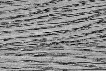 Fototapeta premium Wood textured monochrome background