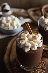 Hot Chocolate with Marshmallows and Cinnamon