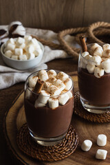 Hot Chocolate with Marshmallows and Cinnamon