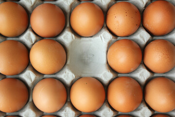 Eggs in egg tray