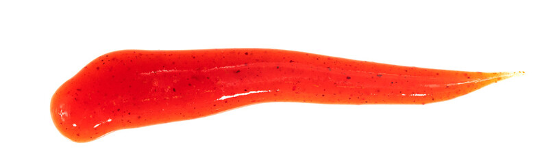 Tomato ketchup sauce isolated on a white background. Spots and stripes ketchup texture