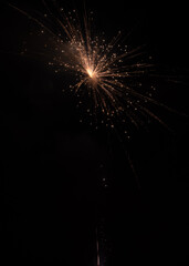 Obraz premium fireworks in the sky