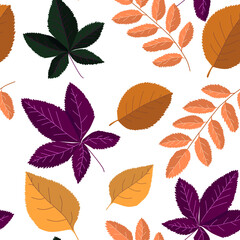 Vector seamless background of different leaves. Autumn falling leaves. The autumn palette. Hand drawn