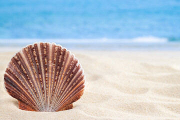 Colorful striped seashell on sandy beach in corner and sea or ocean waves on background for wedding vacation horizontal wallpaper