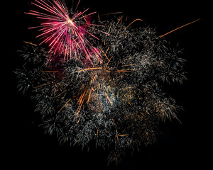 fireworks in the night sky