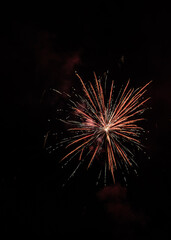fireworks in the night sky