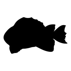 Hand-drawn isolated black fish silhouettes on white background.