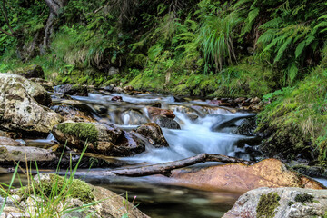 Mountain brook waterfall time lapse