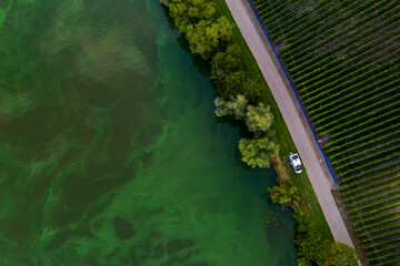 Germany Moselle green Landscape from above