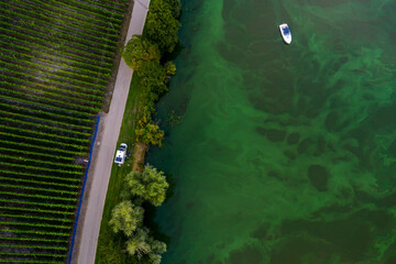 Aerial view of the river Moselle and vineyards and leisure tourists Germany