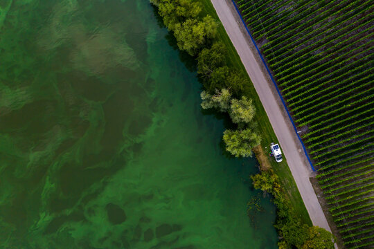 Germany Moselle Green Landscape From Above