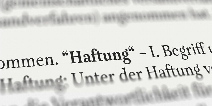 Haftung im Buch