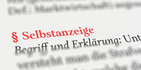Selbstanzeige rechtlich erklärt mit Paragraph