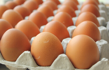 Eggs in egg tray