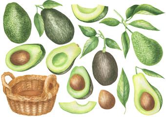 Set of avocado and basket