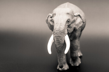 A close up of a toy elephant taken in black and white