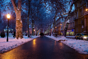 Fototapeta na wymiar Footpath with decorated trees in Zrinjevac Park in Zagreb at night in winter with snow, Croatia