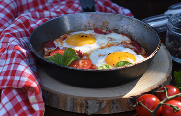Breakfast scrambled eggs with tomatoes and herbs in nature