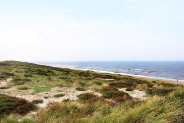 Fototapeta na wymiar Zandvoort Dunes