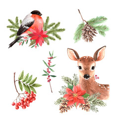 set of watercolor christmas illustrations animals and plants isolated on white background © Lana