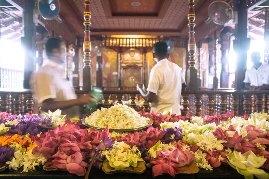 Men working at the Temple of the Sacred Tooth, Sri Dalada Maligawa, Kandy, Sri Lanka