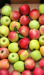 ripe apples display for sale on a farmers market