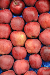 ripe apples display for sale on a farmers market