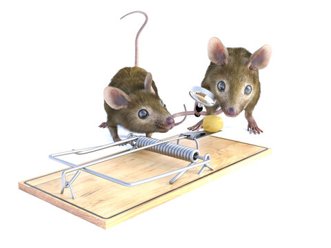 3D rendering of two mice examining trap.