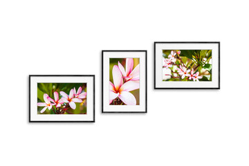 Three black frames set with beautiful tropical flowers pictures,  realistic wooden frameworks  isolated on white wall